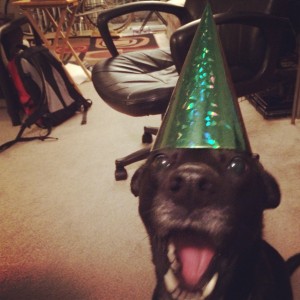 2013-12-06 18.29.42-1