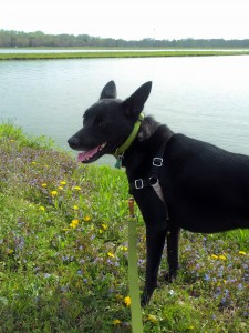 e2014-05-06 17.02.50