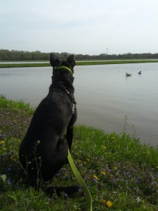 e2014-05-06 17.05.36