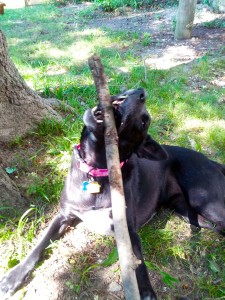 e2014-09-21 15.43.48