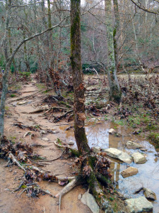 e2016-01-01 12.35.39